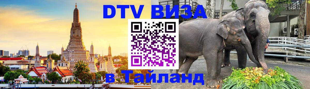 Сколько стоит DTV виза — актуальные цены, оформление даже без документов - 19.11.2025 